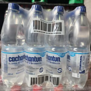 Cachantun 600cc x 12 unidades CON GAS