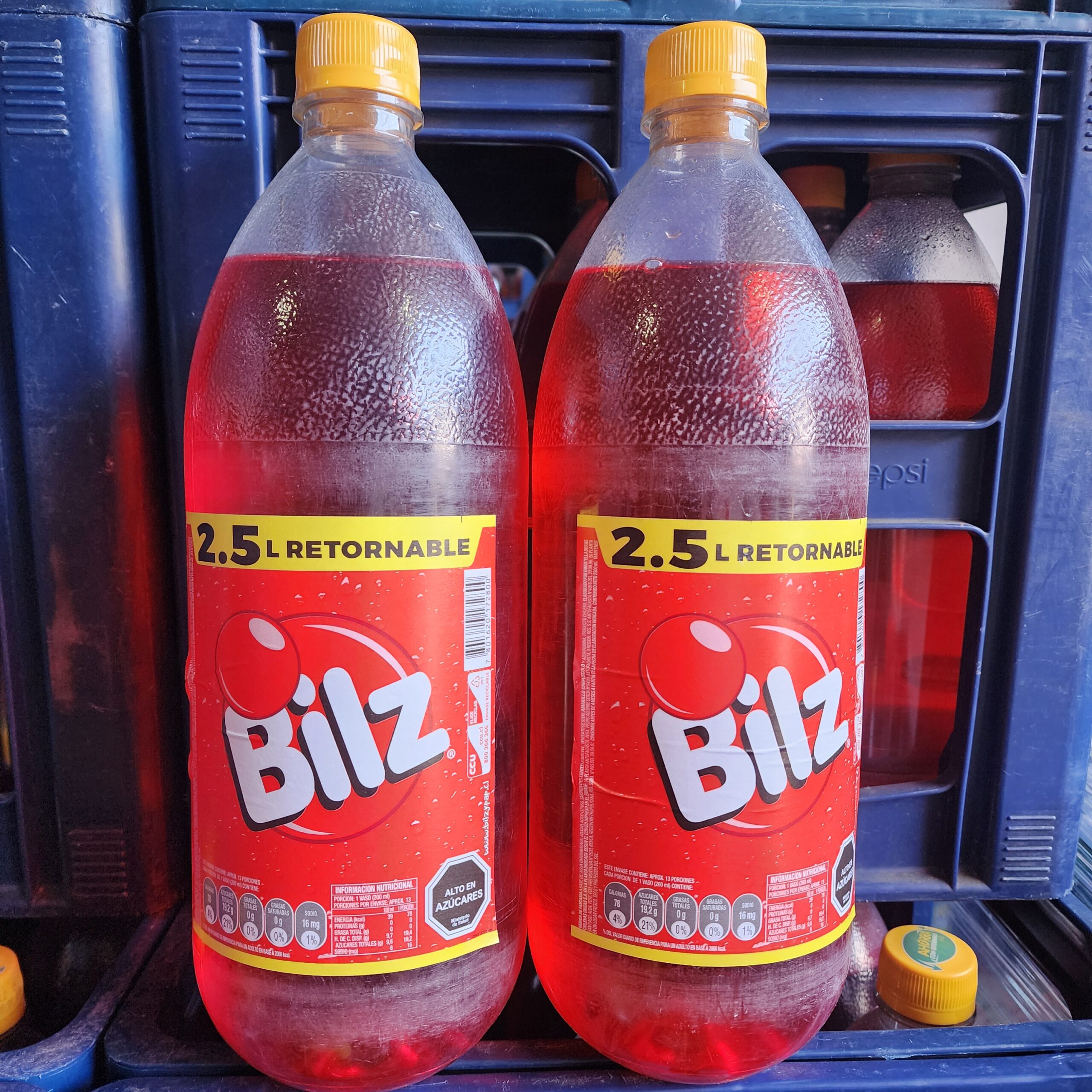 BILZ 2.5 (Retornable) x 6 unidades C.C.U